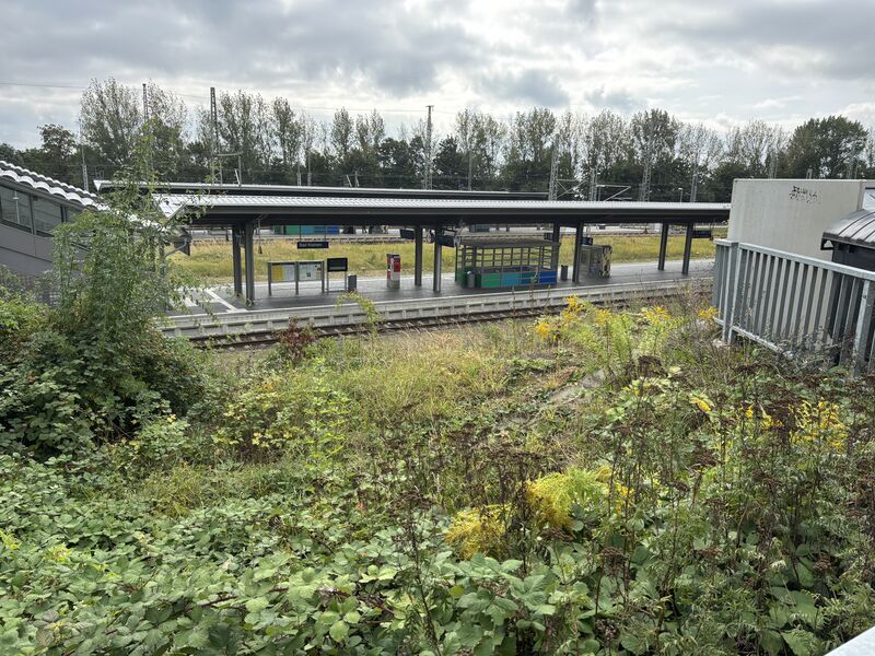Datei:Bhfbadkleinen4.jpg