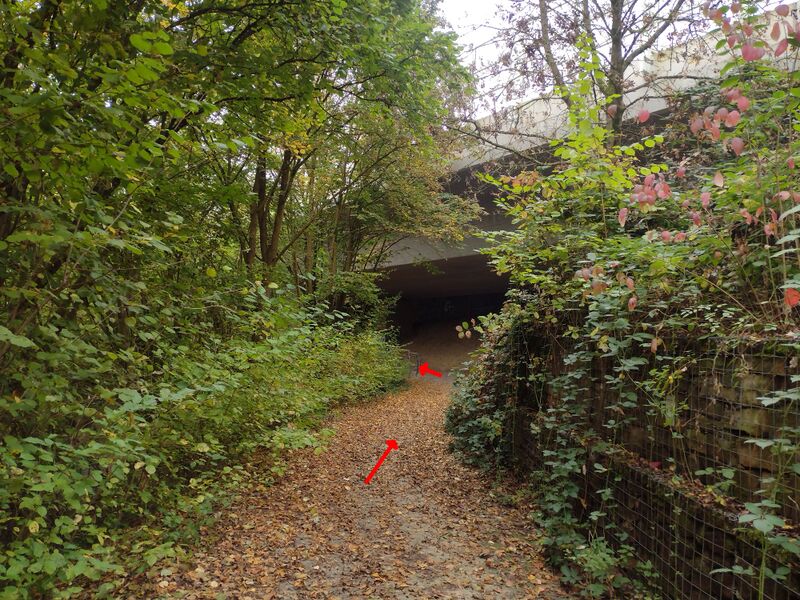 Datei:Attentatbuback11 Fahrstrecke Suzuki aus Fahrersicht Wirtschaftsweg.jpg